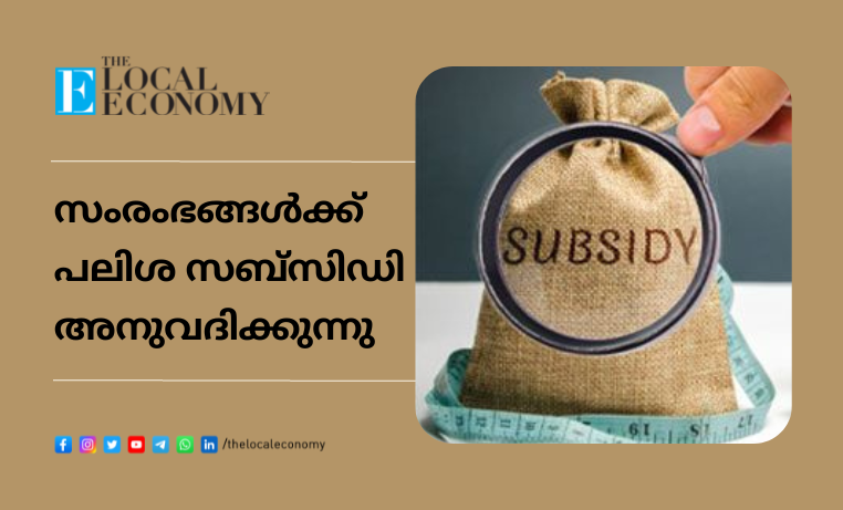 Loan Subsidy