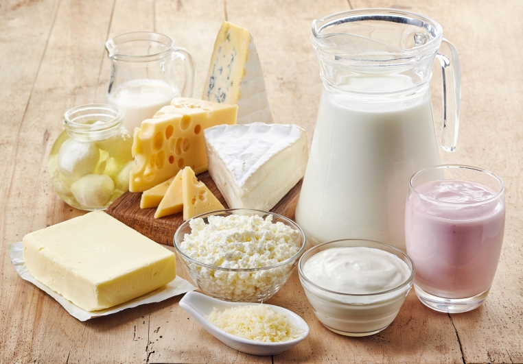 training in dairy and food products