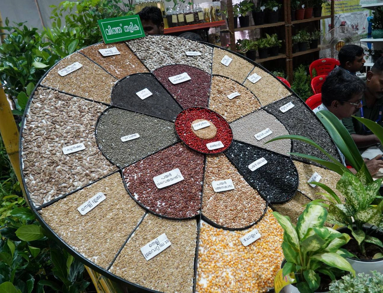 Seed Plate exhibit by Kerala Agriculture Department at Ente Keralam 2025 showing vegetable and crop seeds